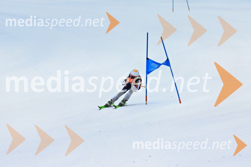 SMUČANJE - SUPER G, U10 in U12, Pokal vzhodne regije, Rogla