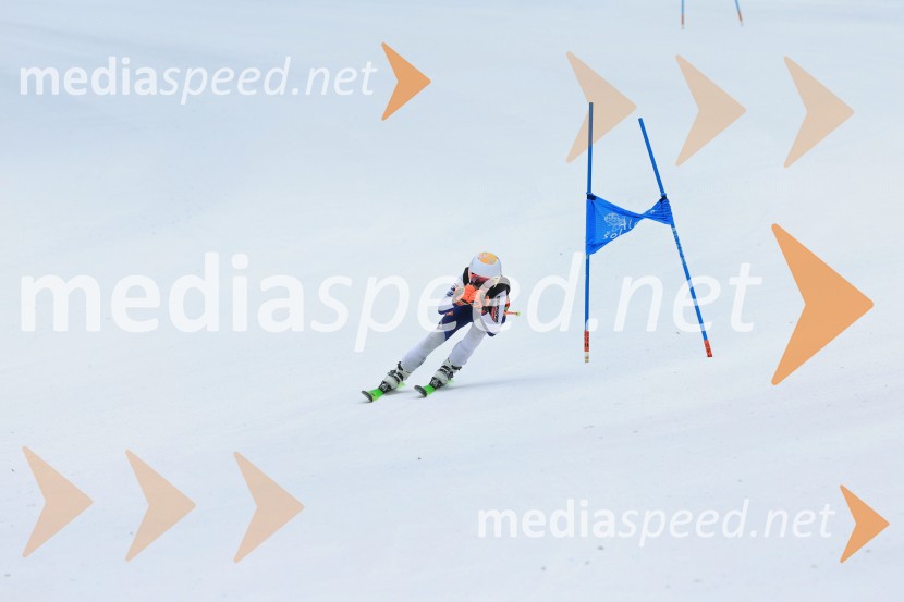 SMUČANJE - SUPER G, U10 in U12, Pokal vzhodne regije, Rogla