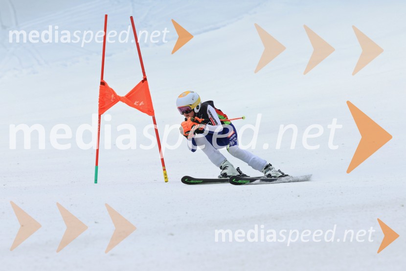 SMUČANJE - SUPER G, U10 in U12, Pokal vzhodne regije, Rogla