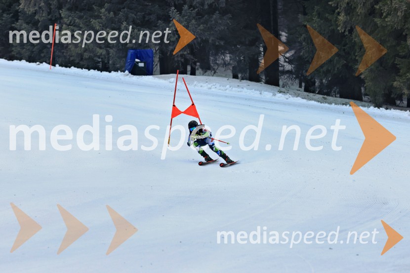 SMUČANJE - SUPER G, U10 in U12, Pokal vzhodne regije, Rogla