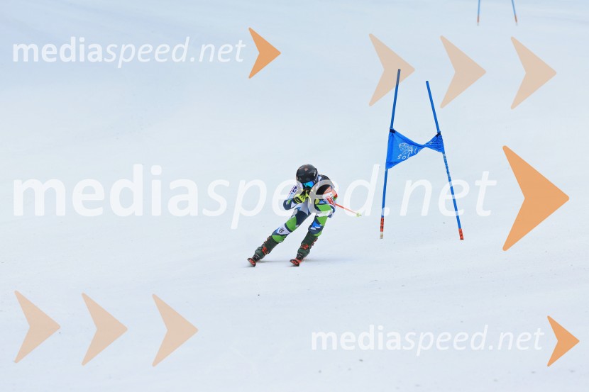 SMUČANJE - SUPER G, U10 in U12, Pokal vzhodne regije, Rogla