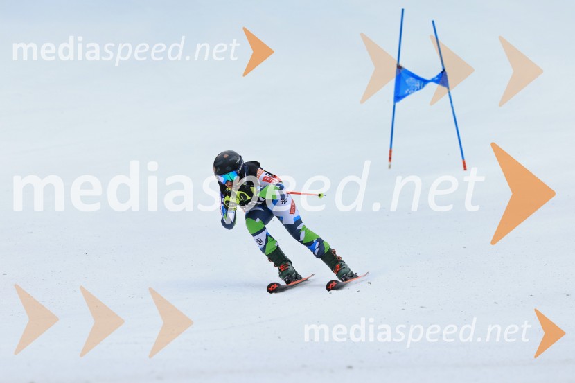 SMUČANJE - SUPER G, U10 in U12, Pokal vzhodne regije, Rogla