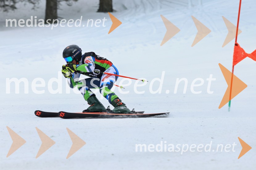 SMUČANJE - SUPER G, U10 in U12, Pokal vzhodne regije, Rogla