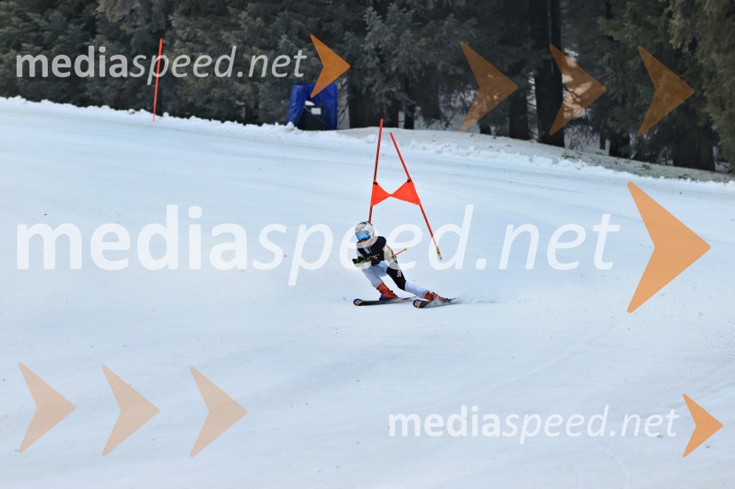 SMUČANJE - SUPER G, U10 in U12, Pokal vzhodne regije, Rogla