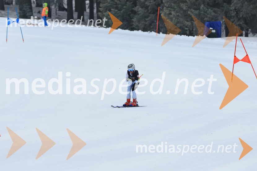 SMUČANJE - SUPER G, U10 in U12, Pokal vzhodne regije, Rogla