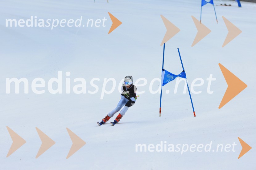 SMUČANJE - SUPER G, U10 in U12, Pokal vzhodne regije, Rogla