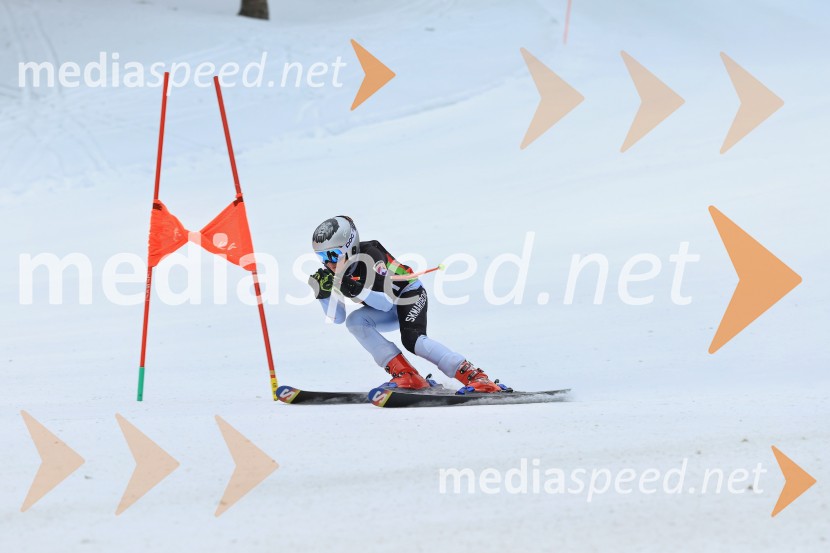 SMUČANJE - SUPER G, U10 in U12, Pokal vzhodne regije, Rogla