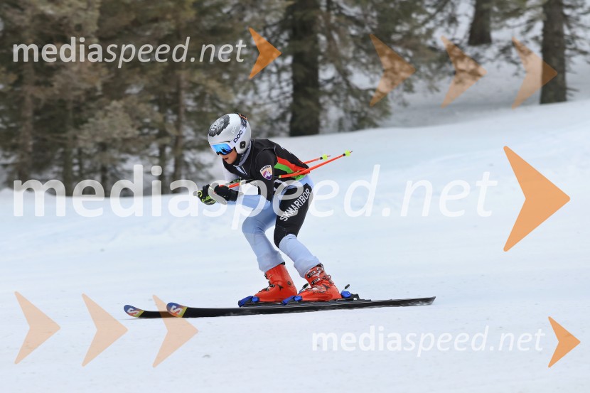 SMUČANJE - SUPER G, U10 in U12, Pokal vzhodne regije, Rogla