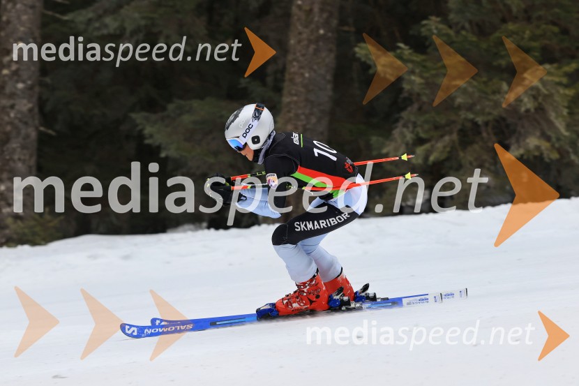SMUČANJE - SUPER G, U10 in U12, Pokal vzhodne regije, Rogla