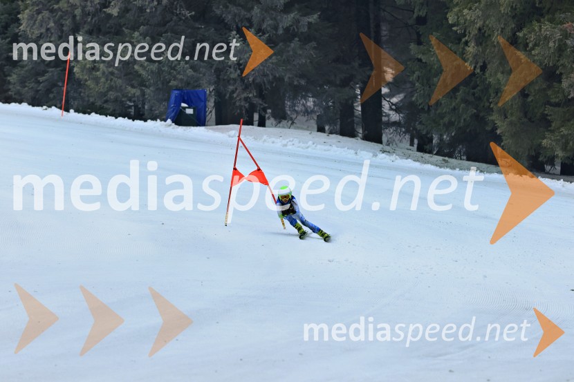 SMUČANJE - SUPER G, U10 in U12, Pokal vzhodne regije, Rogla