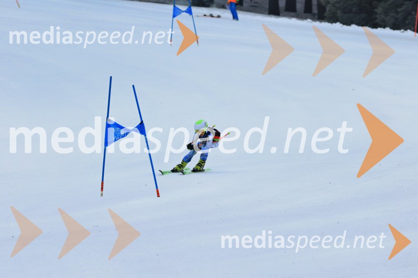 SMUČANJE - SUPER G, U10 in U12, Pokal vzhodne regije, Rogla