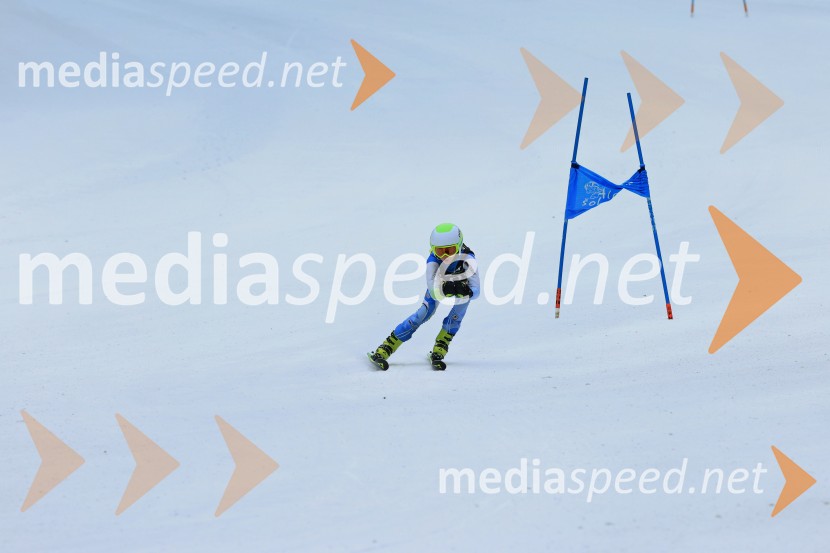 SMUČANJE - SUPER G, U10 in U12, Pokal vzhodne regije, Rogla