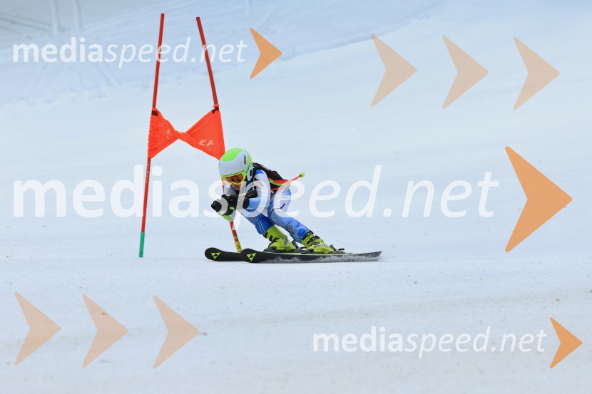 SMUČANJE - SUPER G, U10 in U12, Pokal vzhodne regije, Rogla