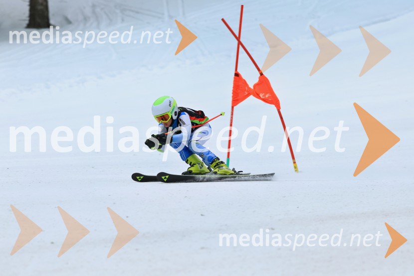 SMUČANJE - SUPER G, U10 in U12, Pokal vzhodne regije, Rogla