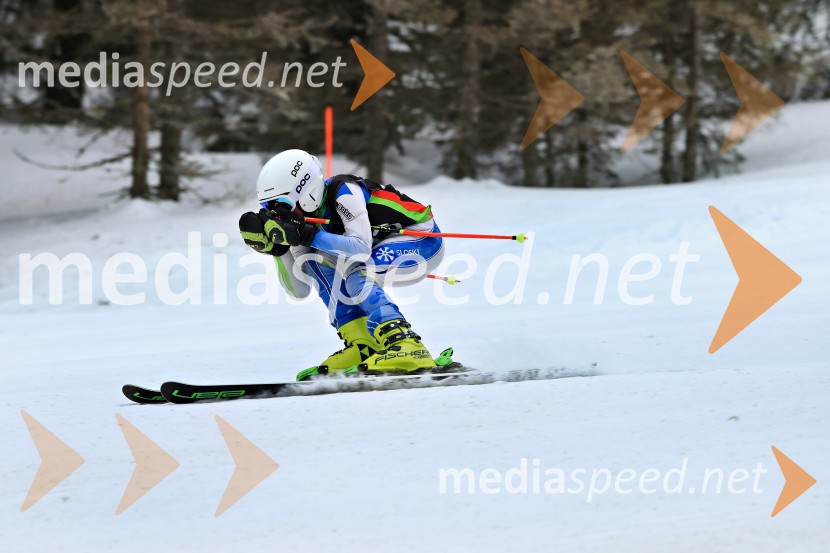 SMUČANJE - SUPER G, U10 in U12, Pokal vzhodne regije, Rogla