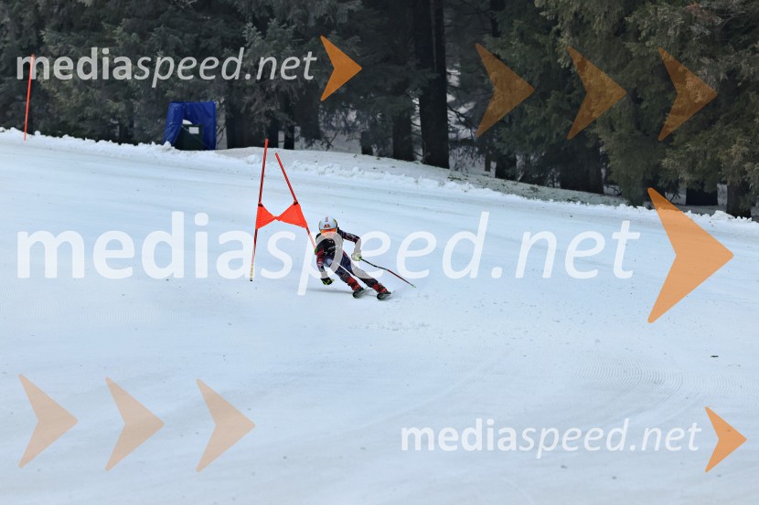SMUČANJE - SUPER G, U10 in U12, Pokal vzhodne regije, Rogla