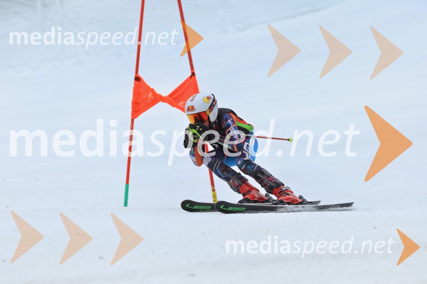 SMUČANJE - SUPER G, U10 in U12, Pokal vzhodne regije, Rogla
