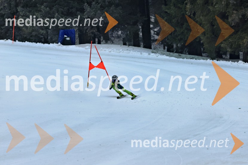 SMUČANJE - SUPER G, U10 in U12, Pokal vzhodne regije, Rogla