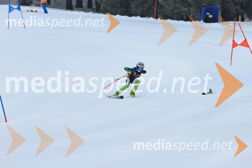 SMUČANJE - SUPER G, U10 in U12, Pokal vzhodne regije, Rogla