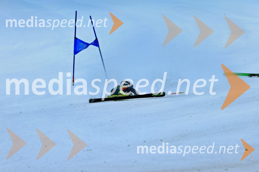 SMUČANJE - SUPER G, U10 in U12, Pokal vzhodne regije, Rogla