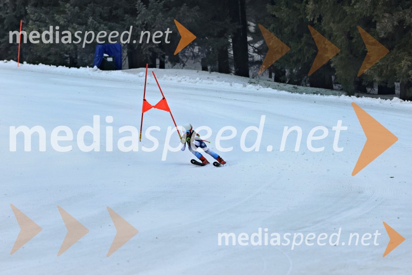SMUČANJE - SUPER G, U10 in U12, Pokal vzhodne regije, Rogla