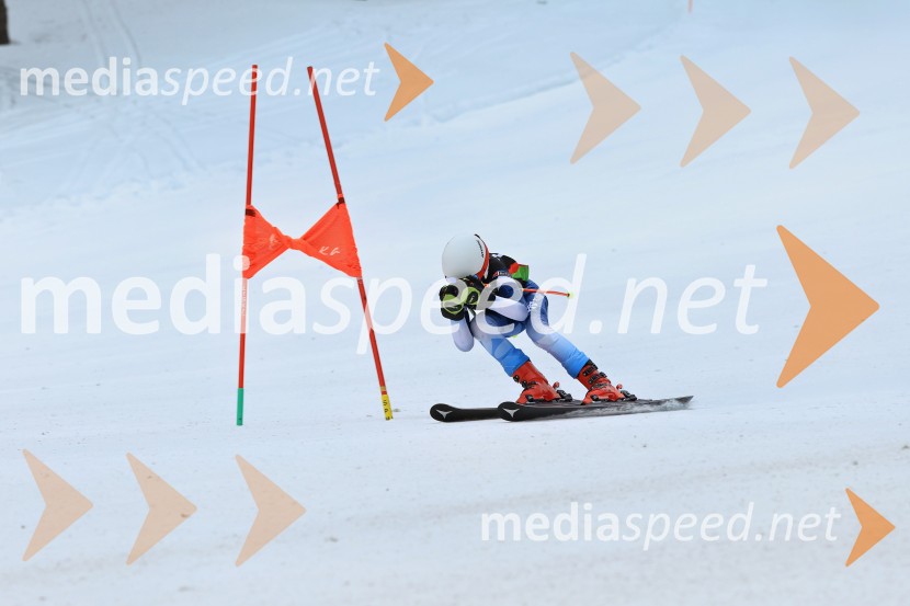 SMUČANJE - SUPER G, U10 in U12, Pokal vzhodne regije, Rogla