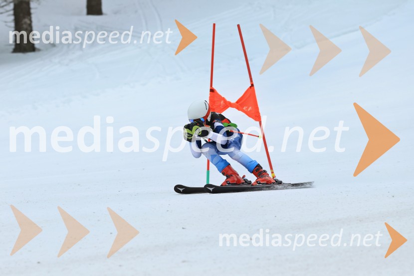 SMUČANJE - SUPER G, U10 in U12, Pokal vzhodne regije, Rogla