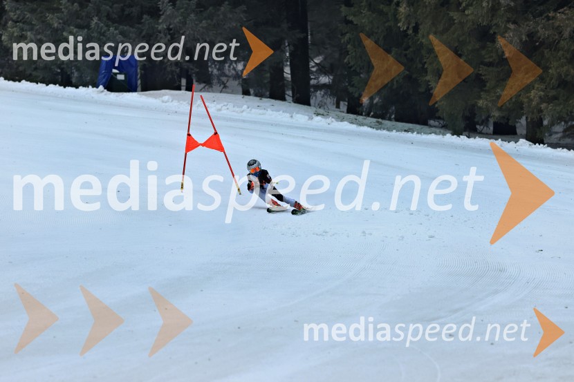 SMUČANJE - SUPER G, U10 in U12, Pokal vzhodne regije, Rogla