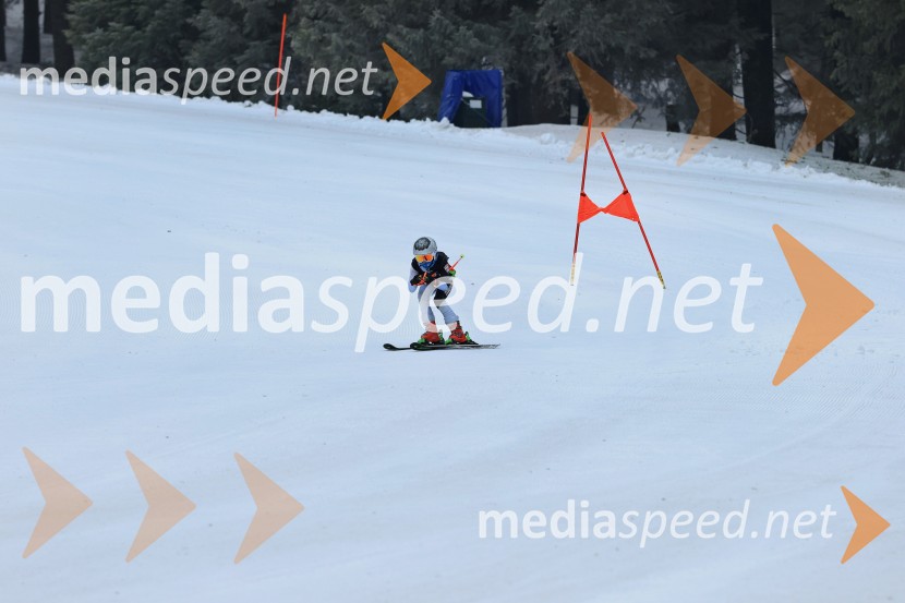 SMUČANJE - SUPER G, U10 in U12, Pokal vzhodne regije, Rogla