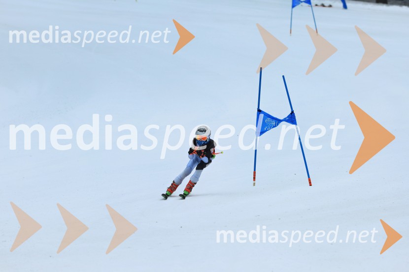 SMUČANJE - SUPER G, U10 in U12, Pokal vzhodne regije, Rogla