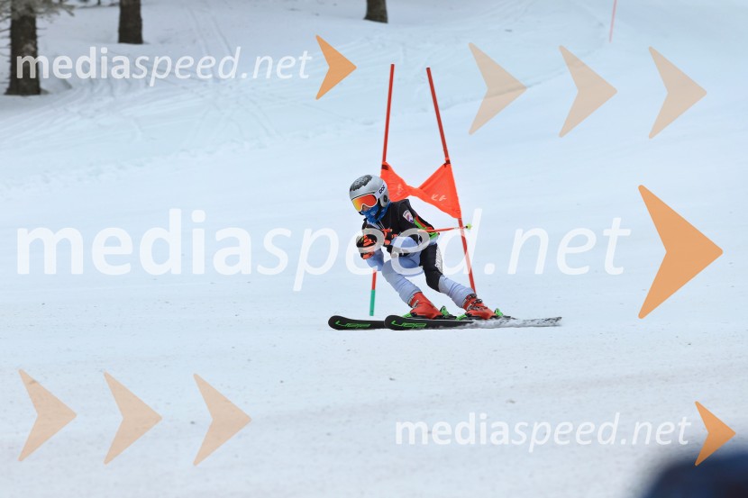 SMUČANJE - SUPER G, U10 in U12, Pokal vzhodne regije, Rogla