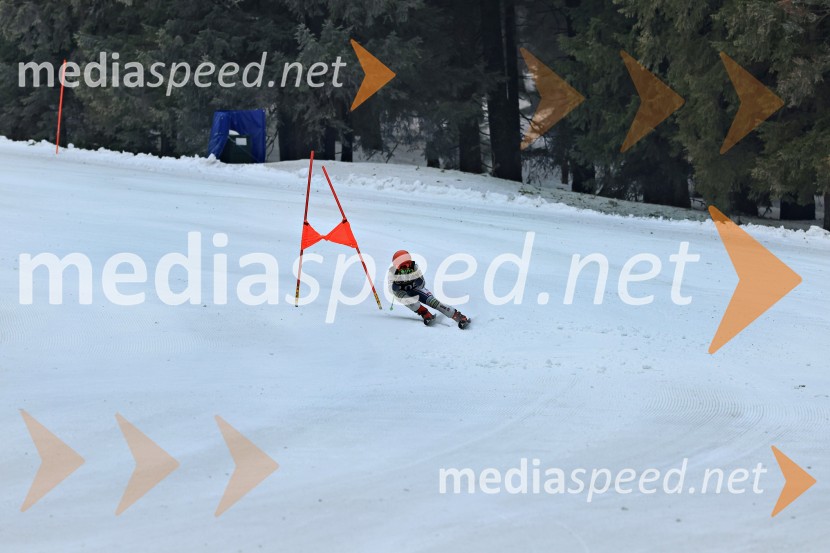 SMUČANJE - SUPER G, U10 in U12, Pokal vzhodne regije, Rogla
