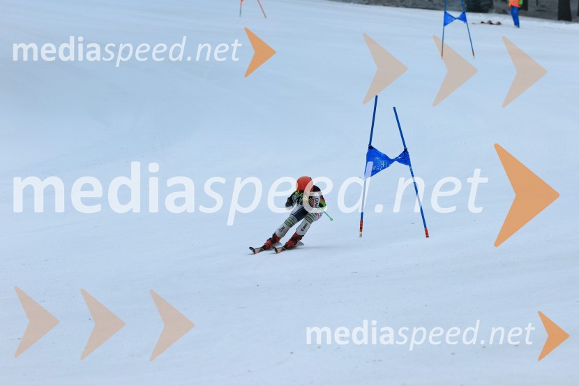 SMUČANJE - SUPER G, U10 in U12, Pokal vzhodne regije, Rogla