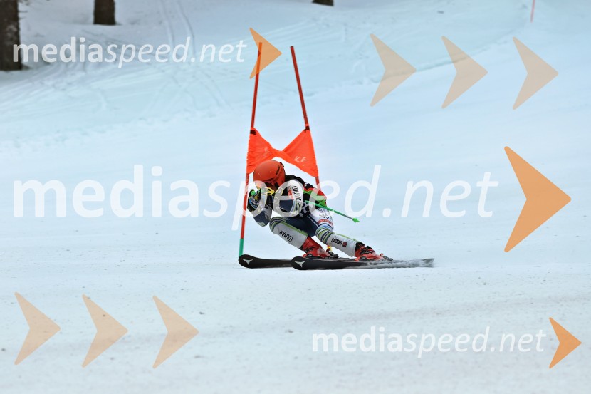 SMUČANJE - SUPER G, U10 in U12, Pokal vzhodne regije, Rogla