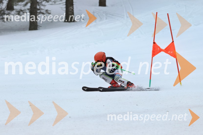 SMUČANJE - SUPER G, U10 in U12, Pokal vzhodne regije, Rogla