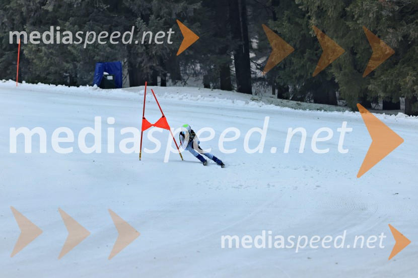 SMUČANJE - SUPER G, U10 in U12, Pokal vzhodne regije, Rogla
