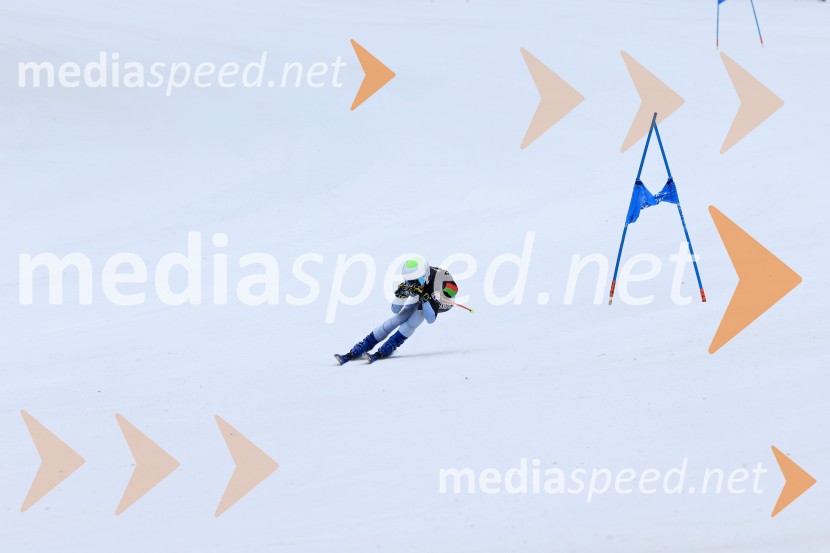 SMUČANJE - SUPER G, U10 in U12, Pokal vzhodne regije, Rogla