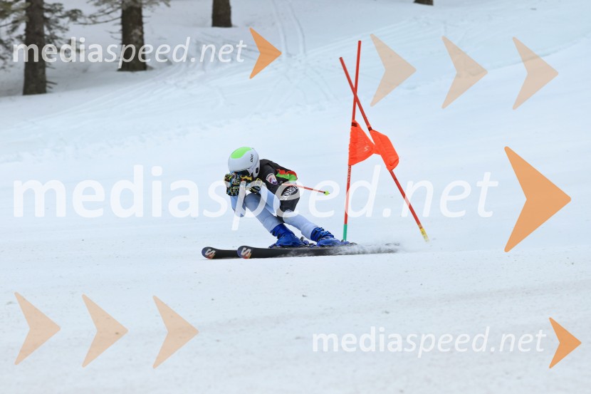 SMUČANJE - SUPER G, U10 in U12, Pokal vzhodne regije, Rogla