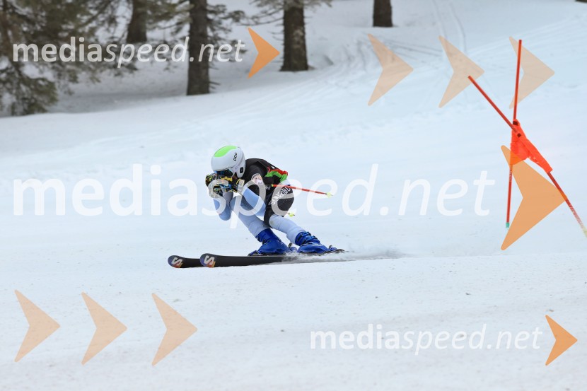 SMUČANJE - SUPER G, U10 in U12, Pokal vzhodne regije, Rogla