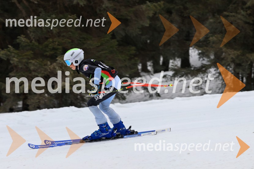 SMUČANJE - SUPER G, U10 in U12, Pokal vzhodne regije, Rogla