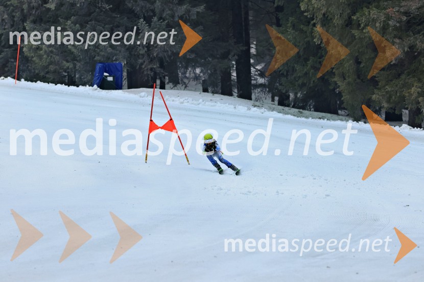 SMUČANJE - SUPER G, U10 in U12, Pokal vzhodne regije, Rogla