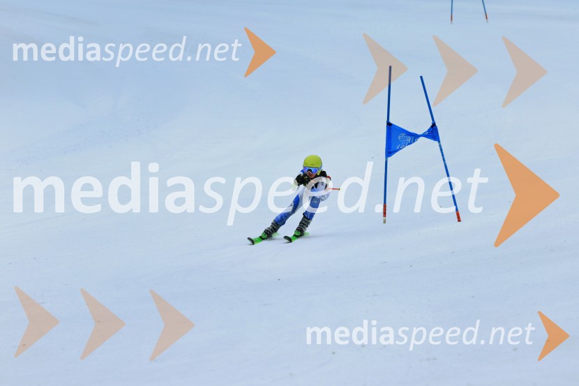 SMUČANJE - SUPER G, U10 in U12, Pokal vzhodne regije, Rogla