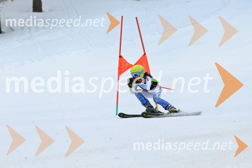 SMUČANJE - SUPER G, U10 in U12, Pokal vzhodne regije, Rogla