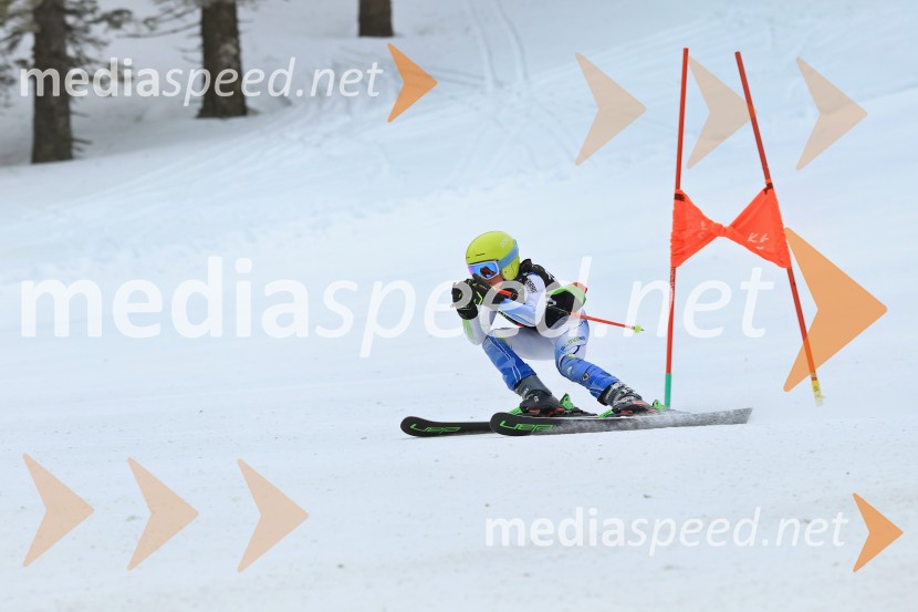 SMUČANJE - SUPER G, U10 in U12, Pokal vzhodne regije, Rogla