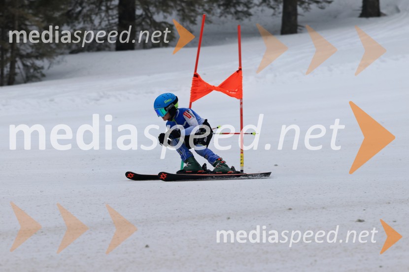 SMUČANJE - SUPER G, U10 in U12, Pokal vzhodne regije, Rogla