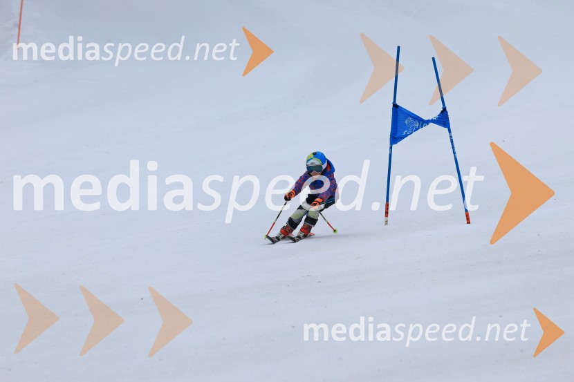 SMUČANJE - SUPER G, U10 in U12, Pokal vzhodne regije, Rogla