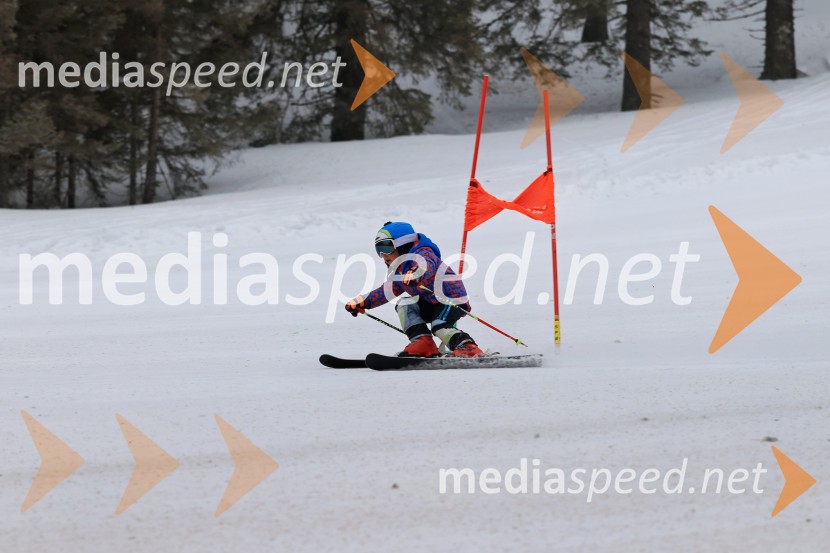 SMUČANJE - SUPER G, U10 in U12, Pokal vzhodne regije, Rogla