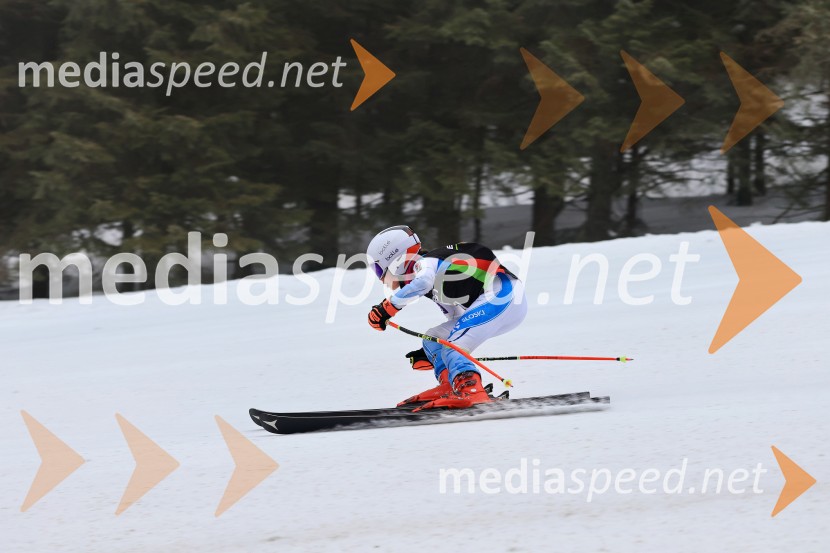 SMUČANJE - SUPER G, U10 in U12, Pokal vzhodne regije, Rogla