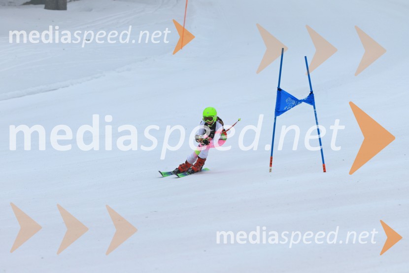 SMUČANJE - SUPER G, U10 in U12, Pokal vzhodne regije, Rogla