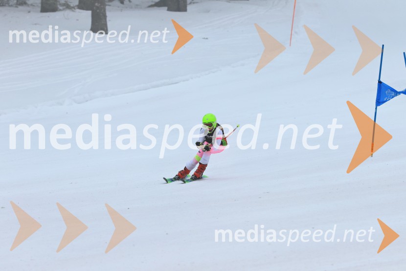 SMUČANJE - SUPER G, U10 in U12, Pokal vzhodne regije, Rogla